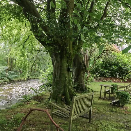 Shelley Lejlighed Ambleside