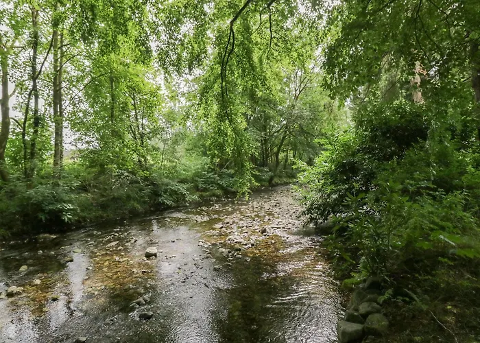 Lejlighed Shelley Ambleside