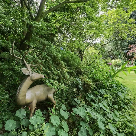 アパート Shelley